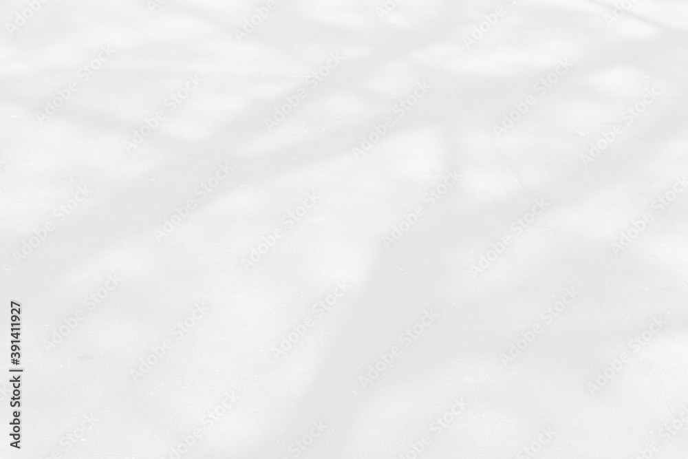 Abstract shadows nature. Gray shadows trees leaf on white wall. Concept blurred background.White and Black.Texture shadows
Abstract shadows nature. Gray shadows trees leaf on white wall. Concept blurred background.White and Black.Texture shadows