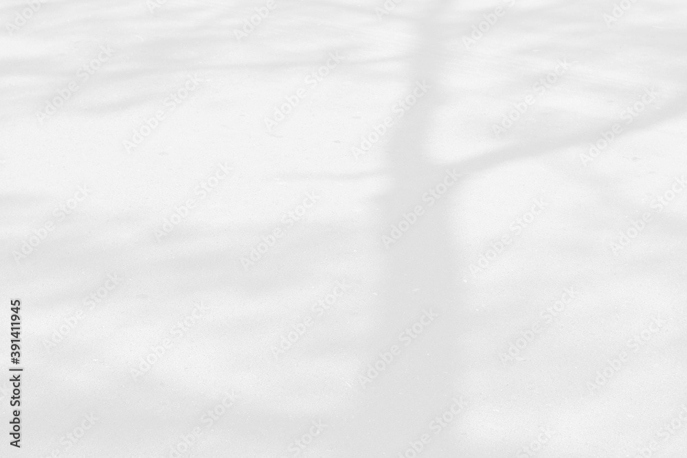 Fototapeta premium Abstract shadows nature. Gray shadows trees leaf on white wall. Concept blurred background.White and Black.Texture shadows 