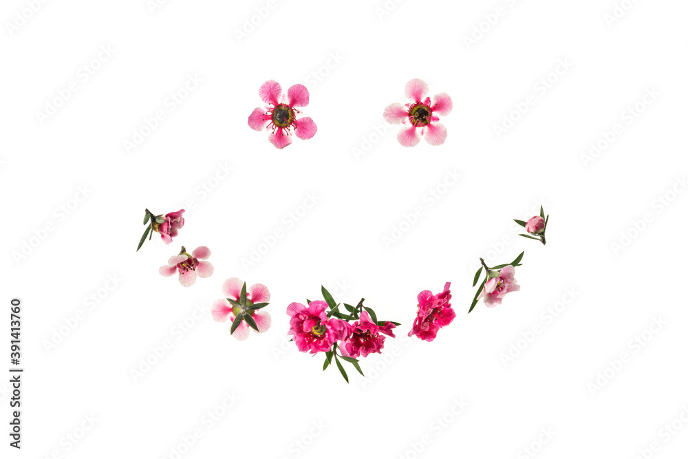 pink and white manuka tree flowers smiley face isolated on white background
