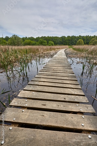 Fototapeta Naklejka Na Ścianę i Meble -  Swampland walkway wooden board path