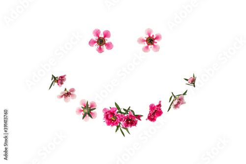 pink and white manuka tree flowers smiley face isolated on white background