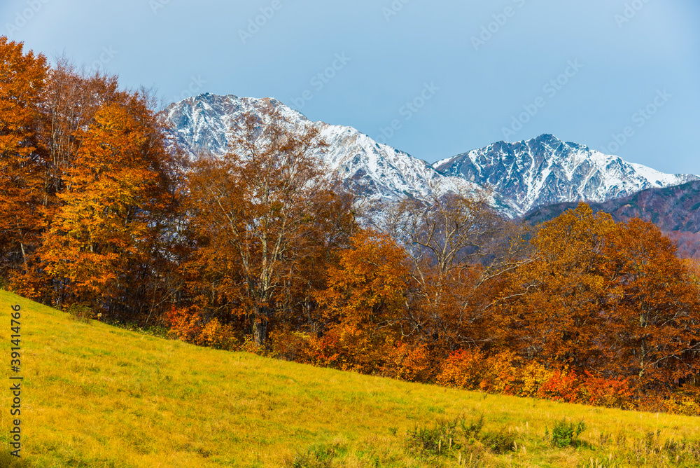 白馬三山と絶景の紅葉