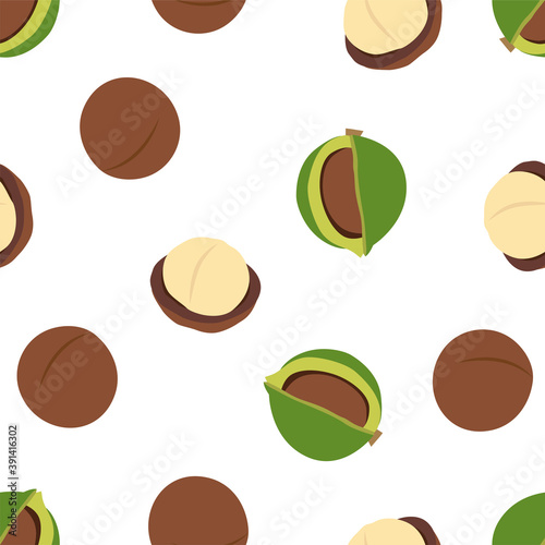 Macadamia nut. Cosmetic and medical plant. 