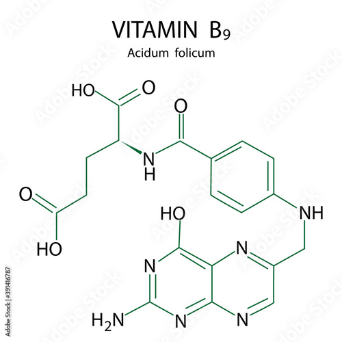 Vitamin b9 formula. Molecular structure. Isolated vector icon. Stock image. EPS10.