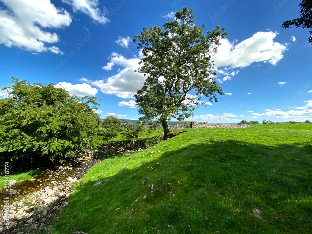 Rural scene, with a stream, sloping grassy banks, and old trees near, Grysedale Lane, Threshfield, Skipton, UK