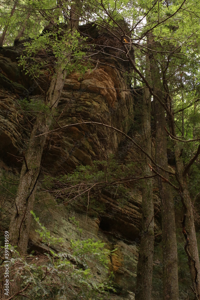 This is a steep rock formation and trees in a forest in southern Ohio. This can be found in Hocking Hills State Park. This is a steep rock formation and trees in a forest in southern Ohio. This can be found in Hocking Hills State Park.
