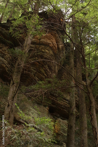 This is a steep rock formation and trees in a forest in southern Ohio. This can be found in Hocking Hills State Park. 