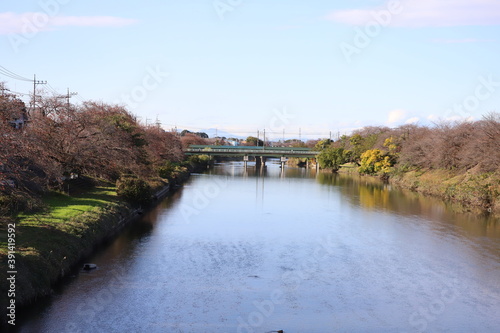 日本の埼玉県蓮田市付近を流れる元荒川の風景
