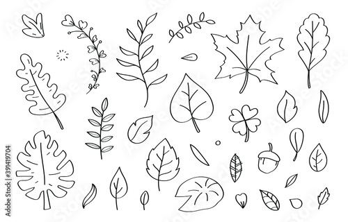 Cute doodle leaf cartoon icons and objects.