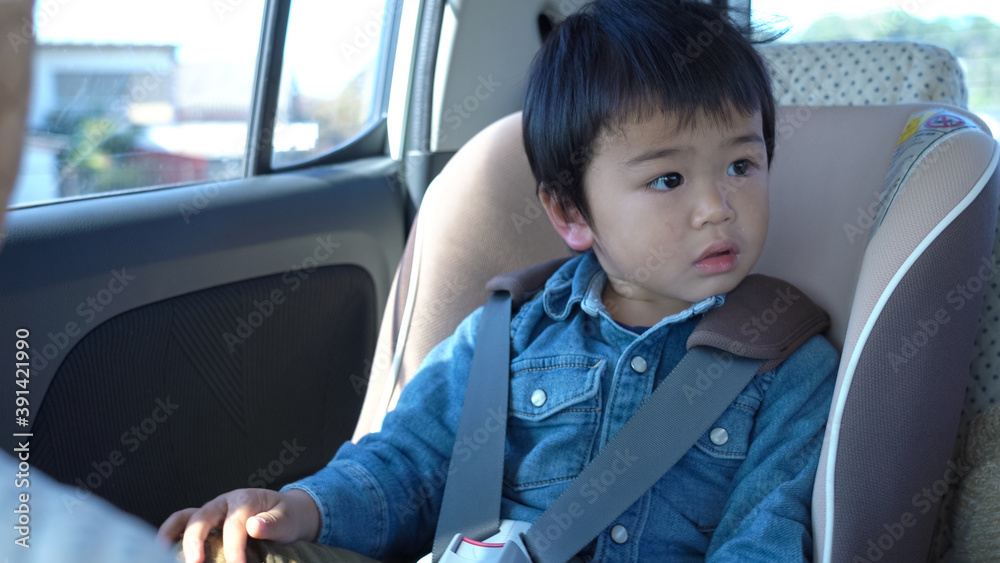 チャイルドシートをつけた子供 チャイルドシートをつけた子供