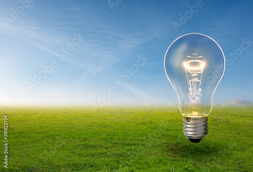 Light bulb grow in the grass against blue sky. Forest conservation and Eco concept.