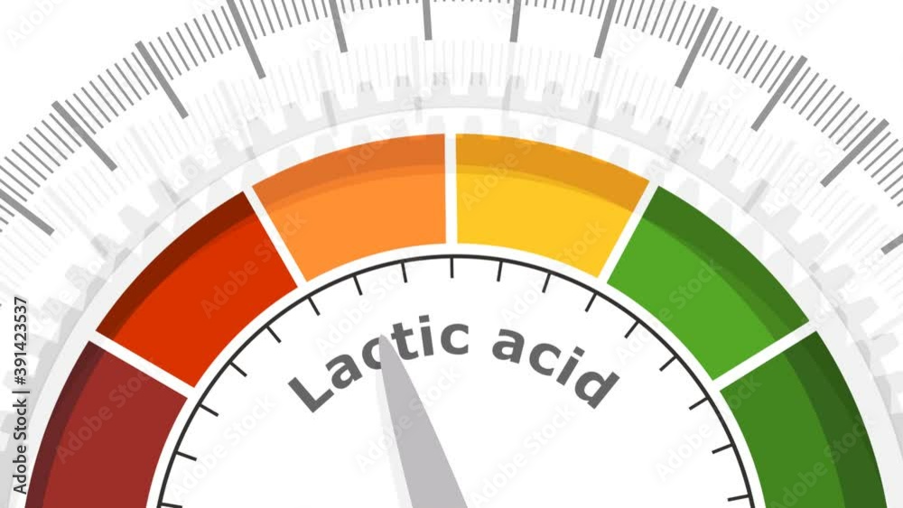 Scale with arrow. The lactic acid measuring device. Sign tachometer, speedometer, indicator. Scale with arrow. The lactic acid measuring device. Sign tachometer, speedometer, indicator.