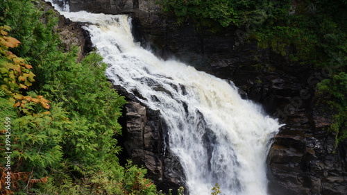 waterfall in the forest