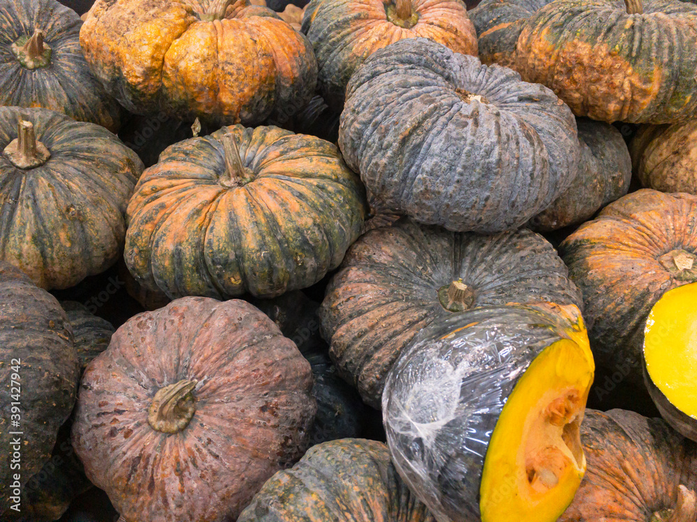 A pile of harvested pumpkin images as a Halloween decoration vegetable or Thanksgiving or autumn food use as background image A pile of harvested pumpkin images as a Halloween decoration vegetable or Thanksgiving or autumn food use as background image