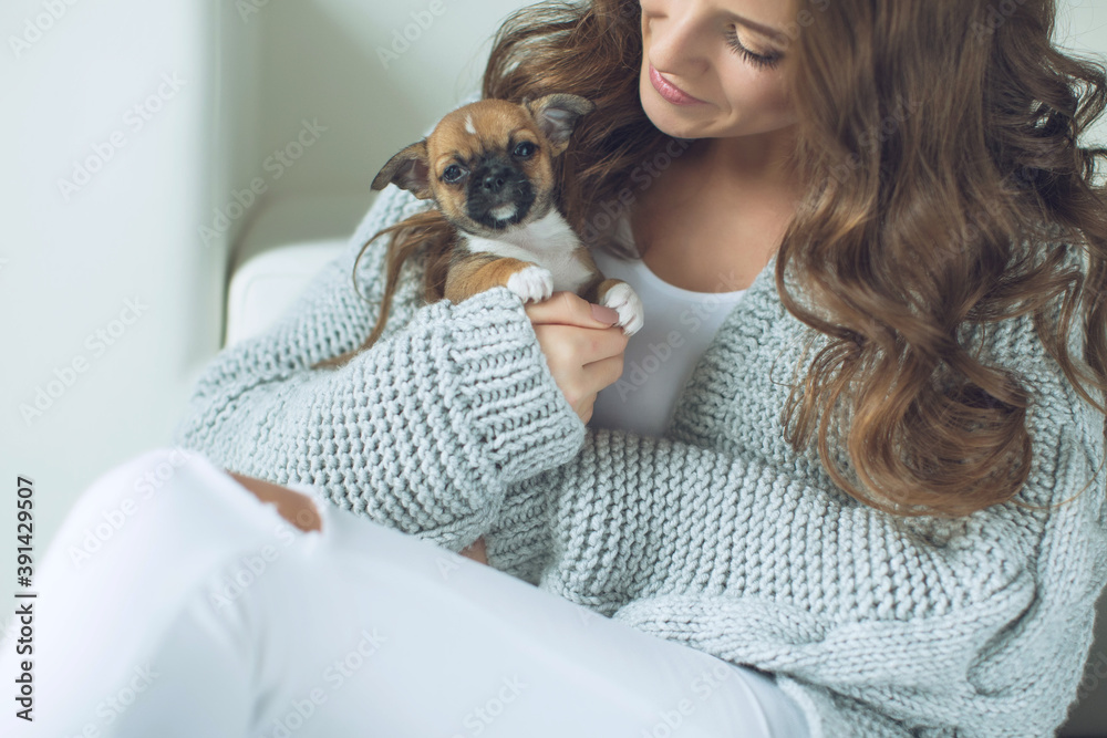 The owner of the dog and her pet. Happy ethnic girl holding a cute puppy near her face, expresses love and care for a pet, woman in a sweater. High quality photo. The owner of the dog and her pet. Happy ethnic girl holding a cute puppy near her face, expresses love and care for a pet, woman in a sweater. High quality photo.