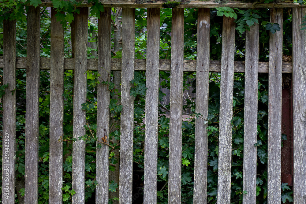 Elements of an old wooden fence on a ranch on a summer day. Elements of an old wooden fence on a ranch on a summer day.