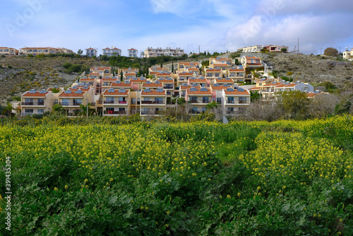 apartments in cyprus located on a picturesque hillside among yellow flowers