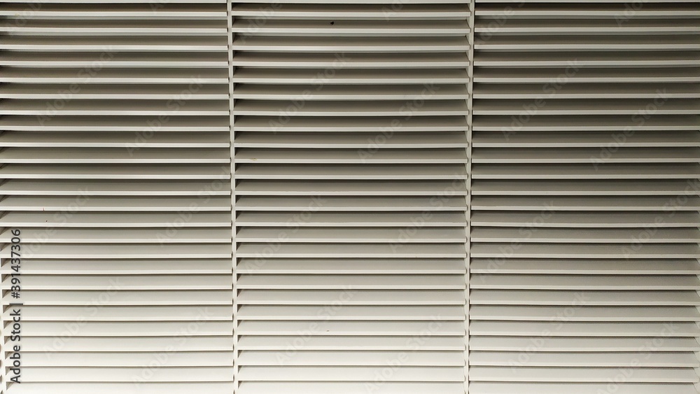 Obraz premium Black and white grid line