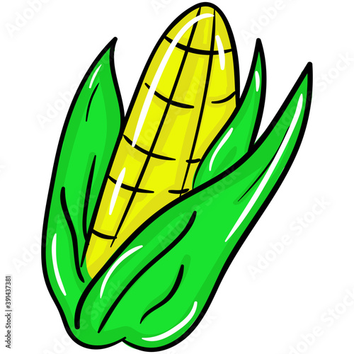 Corn Cob 