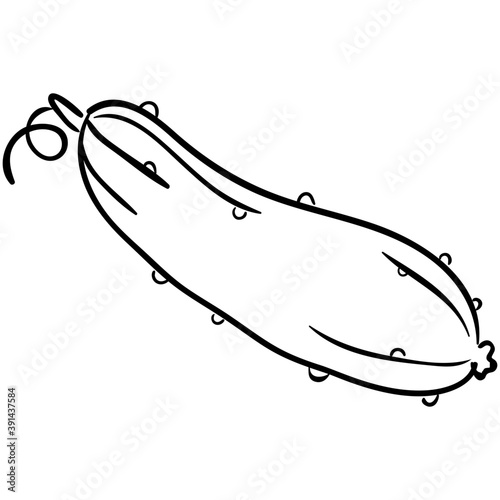 Bitter Gourd
