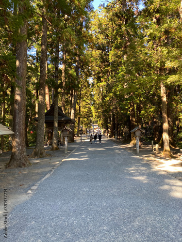 Road to Shrine
