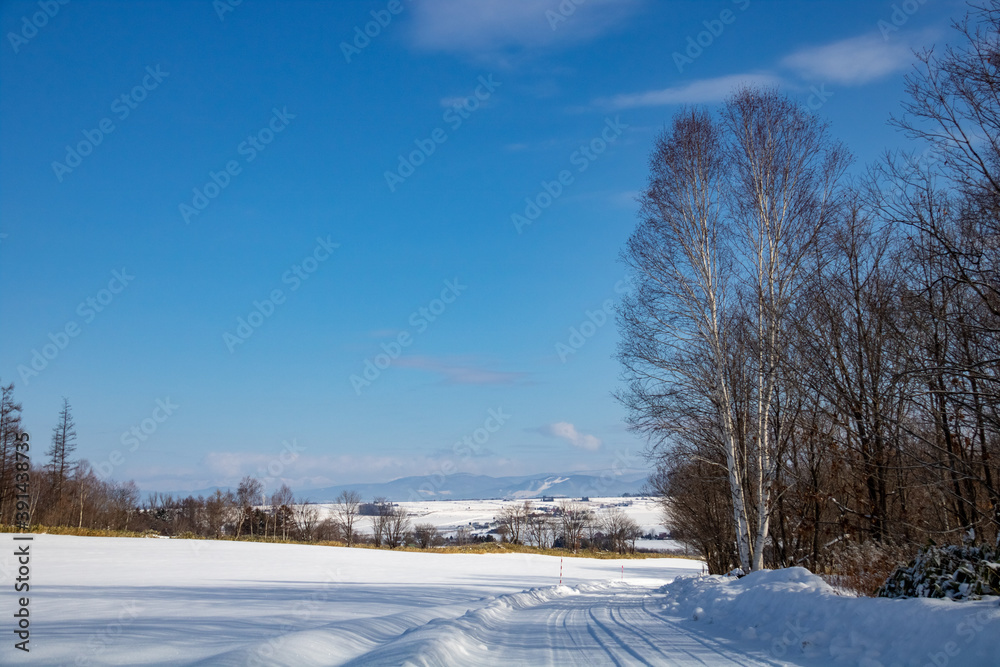 Obraz premium 郊外の雪景色