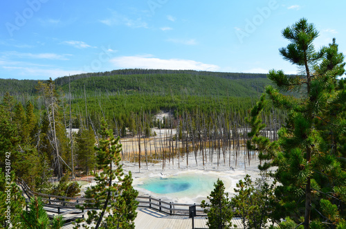 Beautiful scenery of the Norris Geyser Basin in Yellowstone, Wyoming