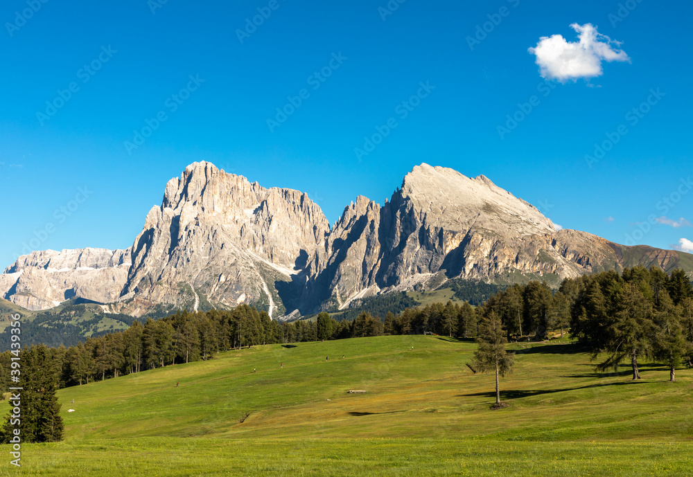 Fototapeta premium Seiser Alm, Alpe di Siusi, mit Blick auf Langkofel und Plattkofel, Südtirol