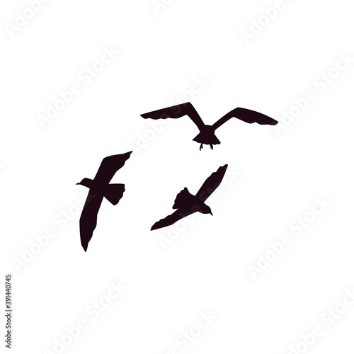 Vector isolated set or flock of silhouettes of flying seagulls in sky.