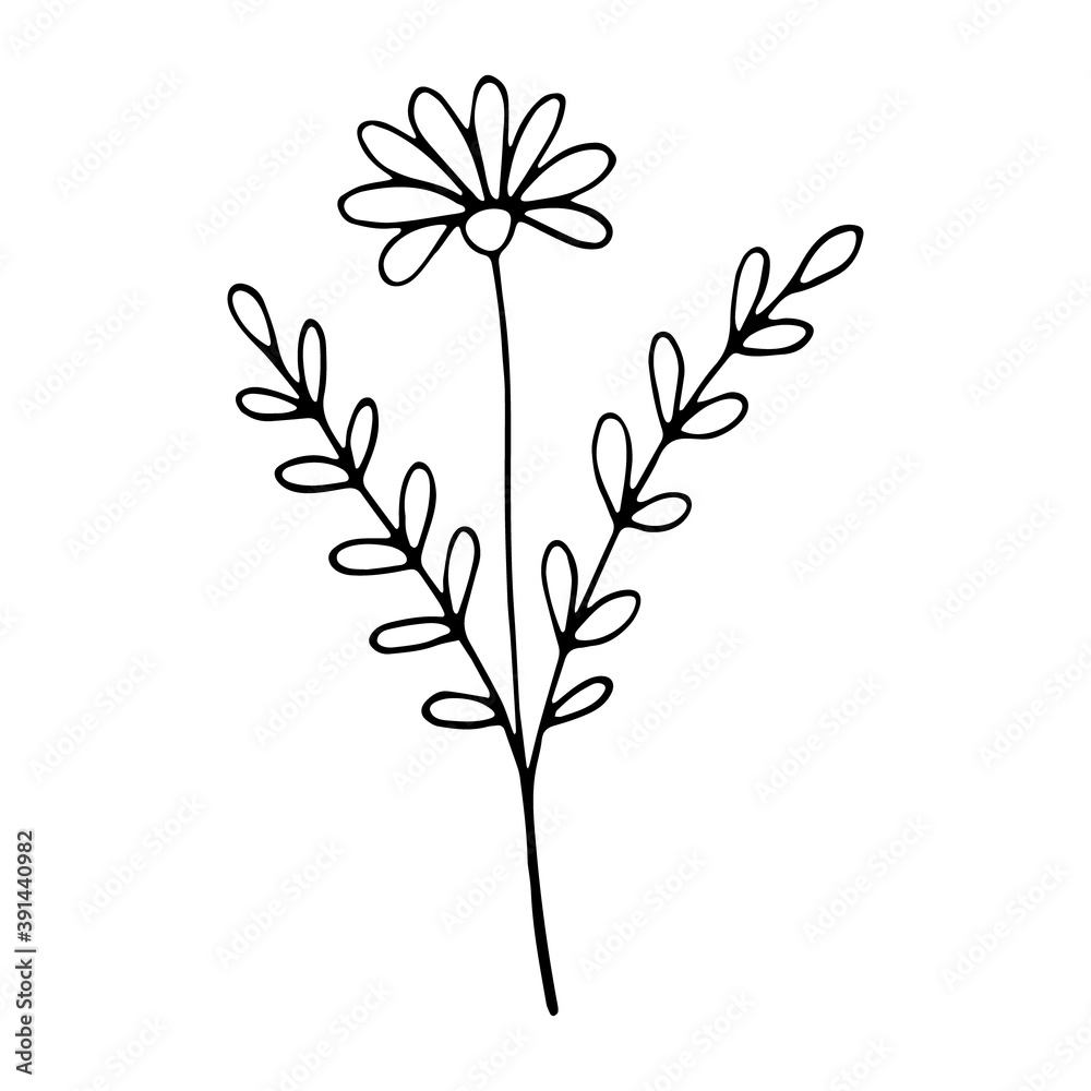 floral flower hand drawn doodle icon for social media story