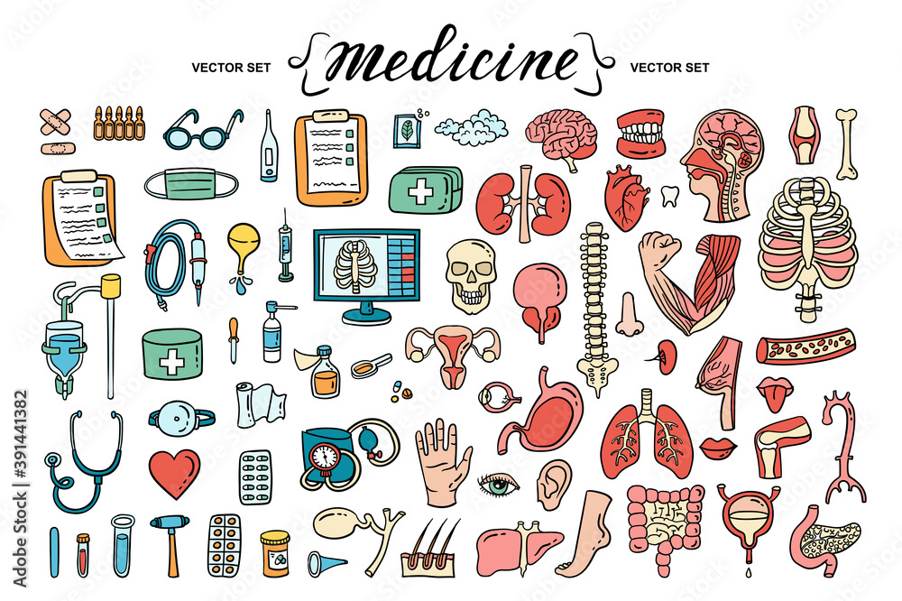 Vector cartoon set on the theme of medicine, human organs, anatomy. Isolated hand drawn colorful doodles, icons. Treatment, health and healthcare symbols. Line art for use in design Vector cartoon set on the theme of medicine, human organs, anatomy. Isolated hand drawn colorful doodles, icons. Treatment, health and healthcare symbols. Line art for use in design