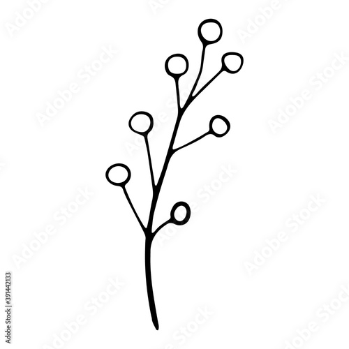 floral flower hand drawn doodle icon for social media story. Hand drawn wedding herb  plant