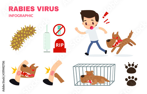 Rabies cartoon infographic. Hydrophobia. Infographic Vector illustration.