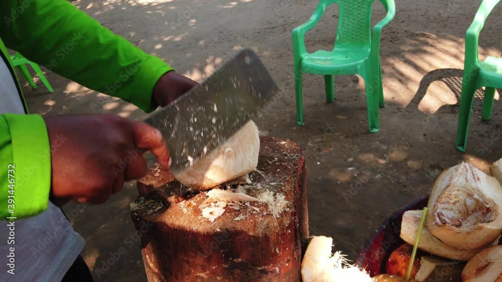 4k video of a man cleaning the outer shell and layer of a coconut fruit near the shores of Laguna de los Milagros in Tingo Maria, Amazonian river area in Peru. Close up, zoom in video