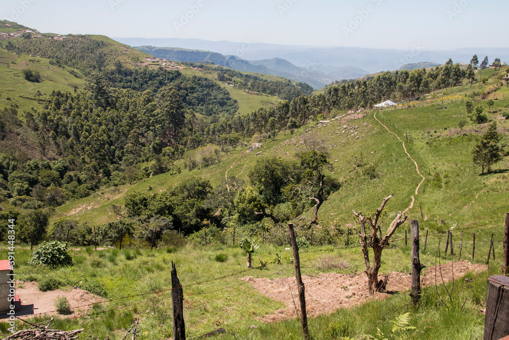 Trees and Vegetation Growing in a Valley in Kwazulu-Natal