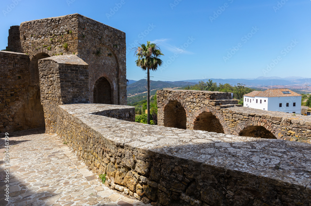 The open interior of the historic Castellar Castle in the mountains of Andalusia in Spain. A palm tree stands between the walls. In the background the mountain landscape.