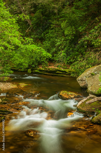 River in the woods in the Great Smoky Mountains National Park