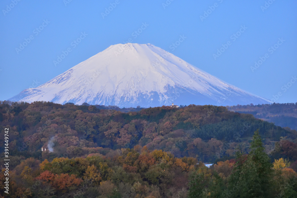 紅葉の先の富士山