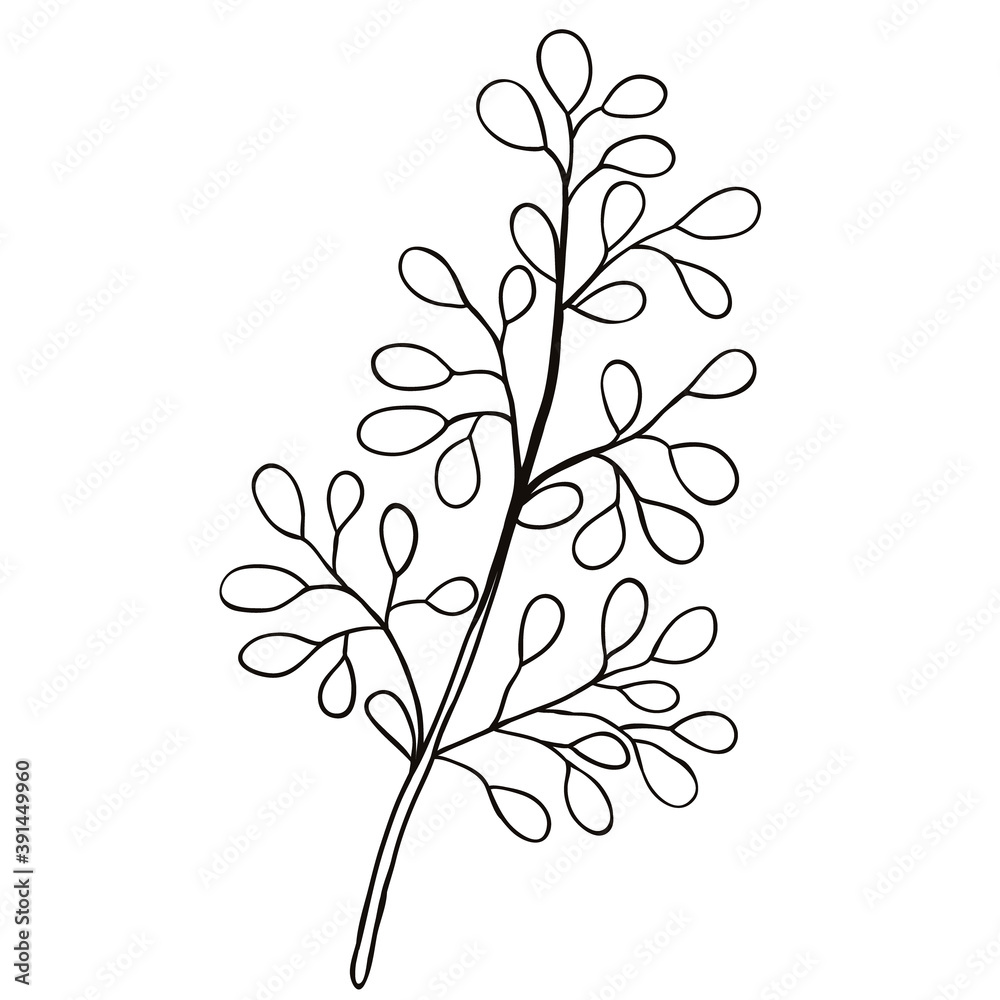 Single doodle leaf isolated on white Single doodle leaf isolated on white