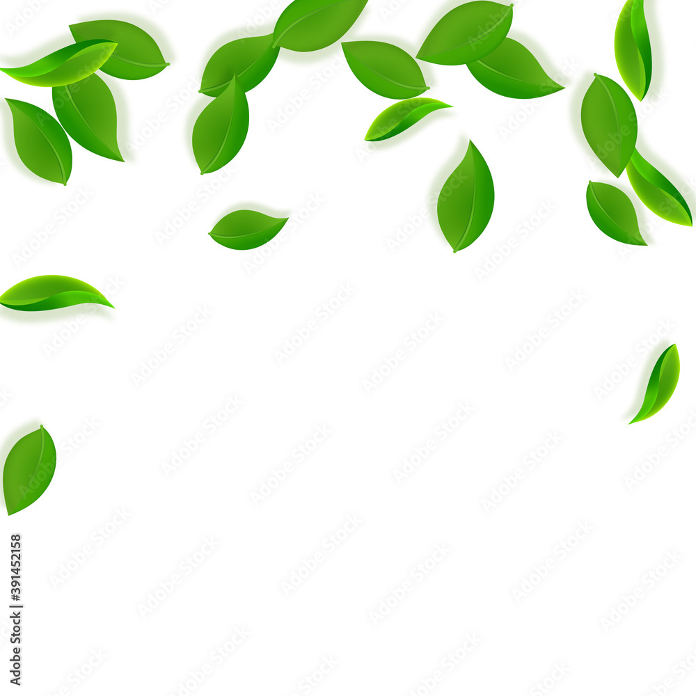 Falling green leaves. Fresh tea neat leaves flying Falling green leaves. Fresh tea neat leaves flying