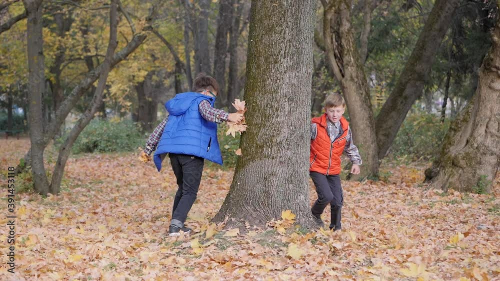 Boys run around the trunk of a large tree and toss the autumn yellow leaves up. Boys run around the trunk of a large tree and toss the autumn yellow leaves up.