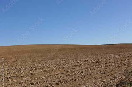 一面に広がる耕された土の丘と青空