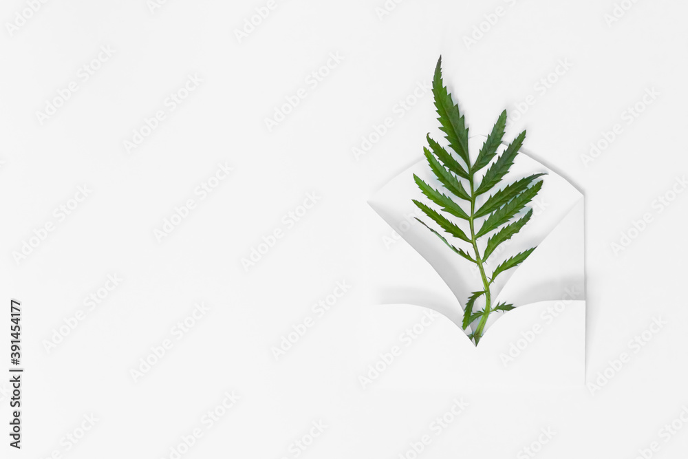 beautiful envelope with a delicate green twig attached. A symbol of good wishes. Letter greeting card, craft envelope, white table background. Apartment. The concept of congratulations. beautiful envelope with a delicate green twig attached. A symbol of good wishes. Letter greeting card, craft envelope, white table background. Apartment. The concept of congratulations.