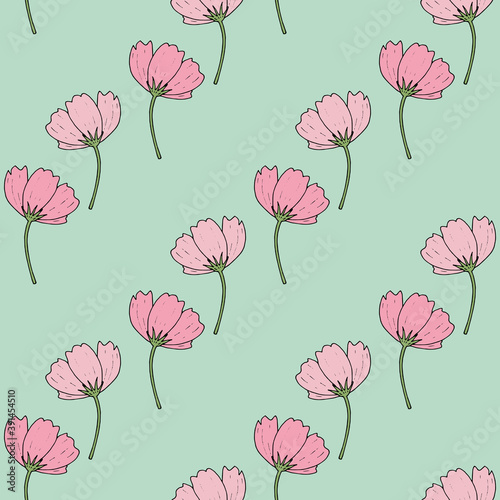 Seamless pattern with cute cosmea flowers on light green background. Vector image.