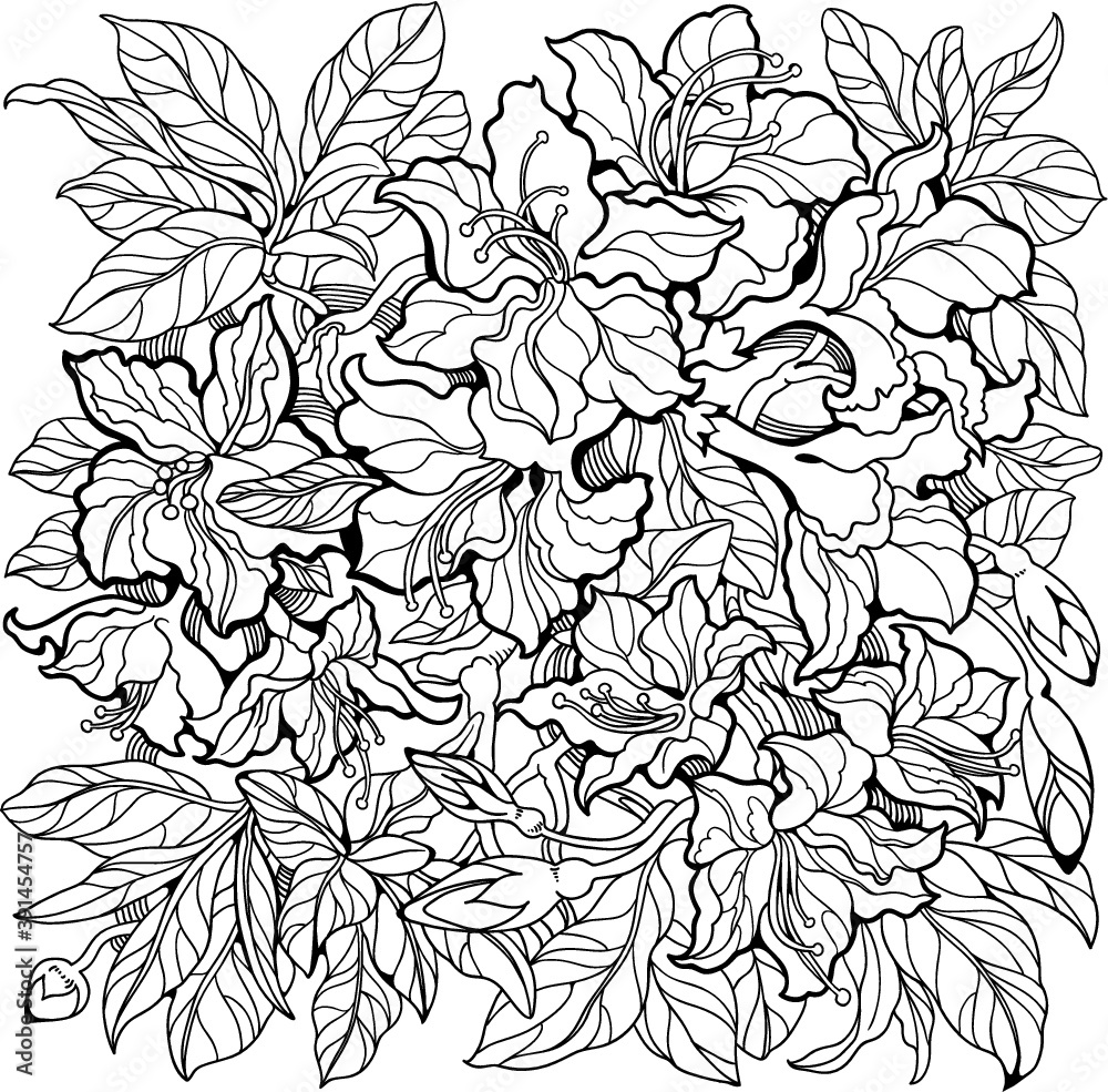 Fototapeta premium Azalea flowers line art drawing.Coloring page for adult and older children