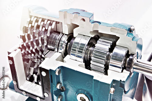 Foto Cross section rotary lobe pump