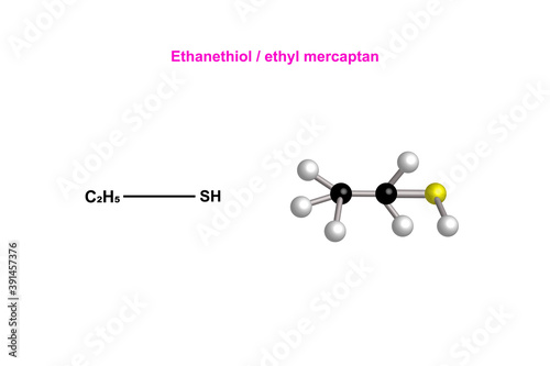 chemical structure of ethanethiol / ethyl mercaptan vector design illustration