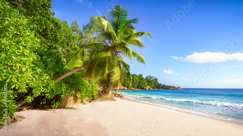 tropical beach.White sand,palm,turquoise water and rocks in paradise, seychelles 3 photo