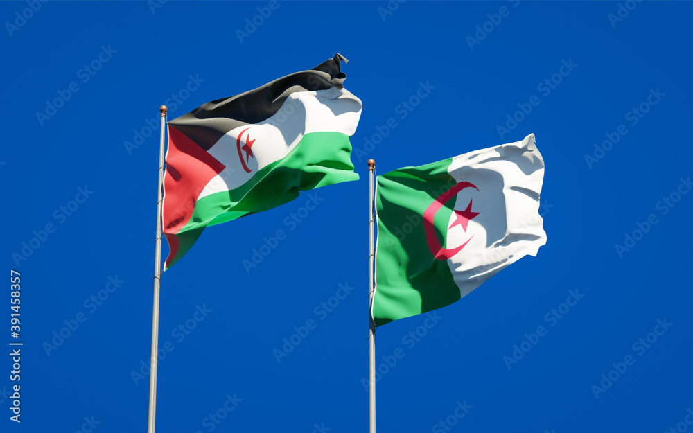 Beautiful national state flags of Sahrawi and Algeria together at the sky background. 3D artwork concept. Beautiful national state flags of Sahrawi and Algeria together at the sky background. 3D artwork concept.