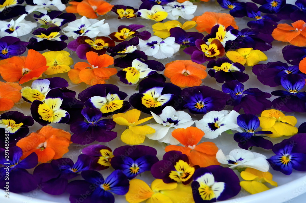 Multicolored flower mandala on floating on water plate made of fresh flowers. Floral background with nature flowers. Flower mosaic Multicolored flower mandala on floating on water plate made of fresh flowers. Floral background with nature flowers. Flower mosaic